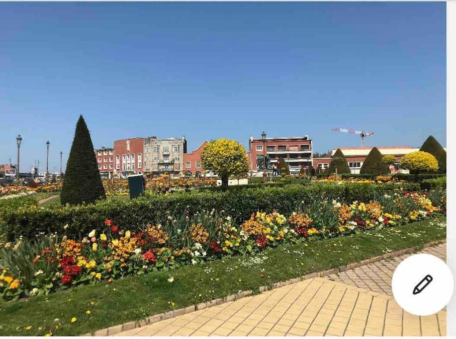 Apartament Casa Inca Calais - Duplex Soleil Latino - Parking Free, Station Zewnętrze zdjęcie